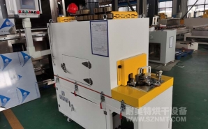 NMT-SDL-680 汽車零部件環形加熱隧道爐(大連（lián）坤元（yuán）)