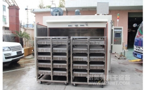 NMT-TC-5017汽車加熱器道康寧（níng）膠固化落地式雙推車烘箱(埃貝赫)