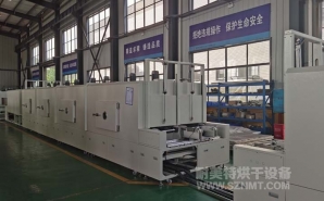 NMT-SDL-765 雙排（pái）灌（guàn）膠（jiāo）固化隧道爐(華控)